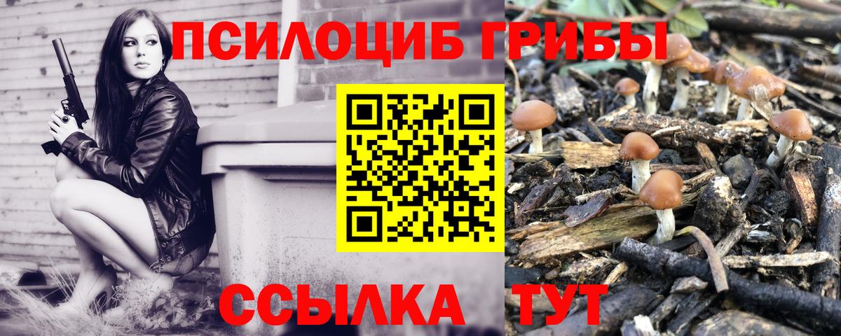 Галлюциногенные грибы Psilocybe  Вход с VPN  даркнет сайт  Белово  Псилоцибиновые грибы GOLDEN TEACHER 